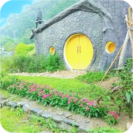 圖片